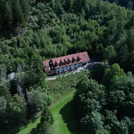 Waldpension Am Koepfchen Kurort Steinbach-Hallenberg Exterior photo
